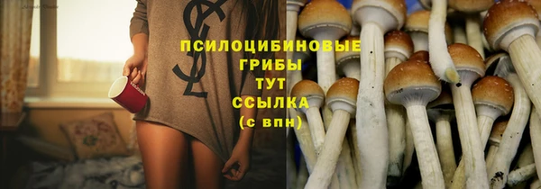 ПСИЛОЦИБИНОВЫЕ ГРИБЫ Белоозёрский